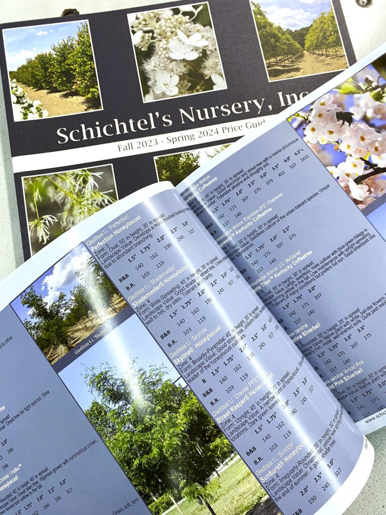 Printed Catalogue Buffalo NY