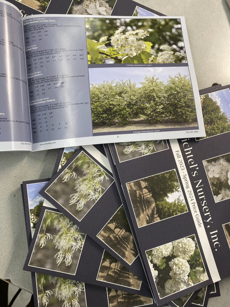 Printed Catalogue Buffalo